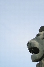J09.jpg