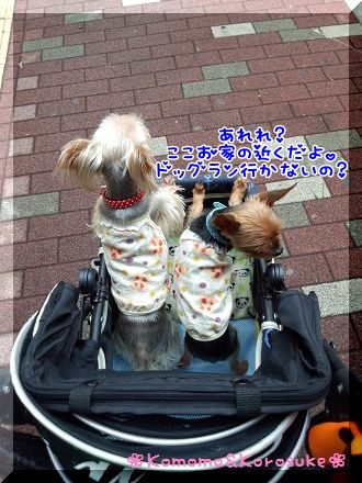 IMG_20120901_115438.jpg