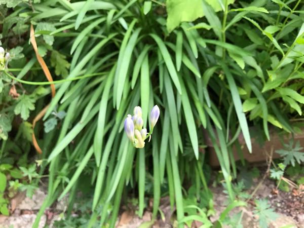 rblog-20180628172147-07.jpg
