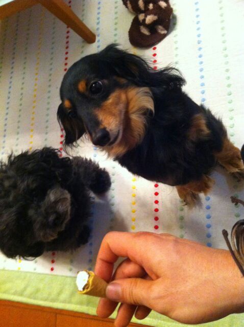 rblog-20140322202125-02.jpg