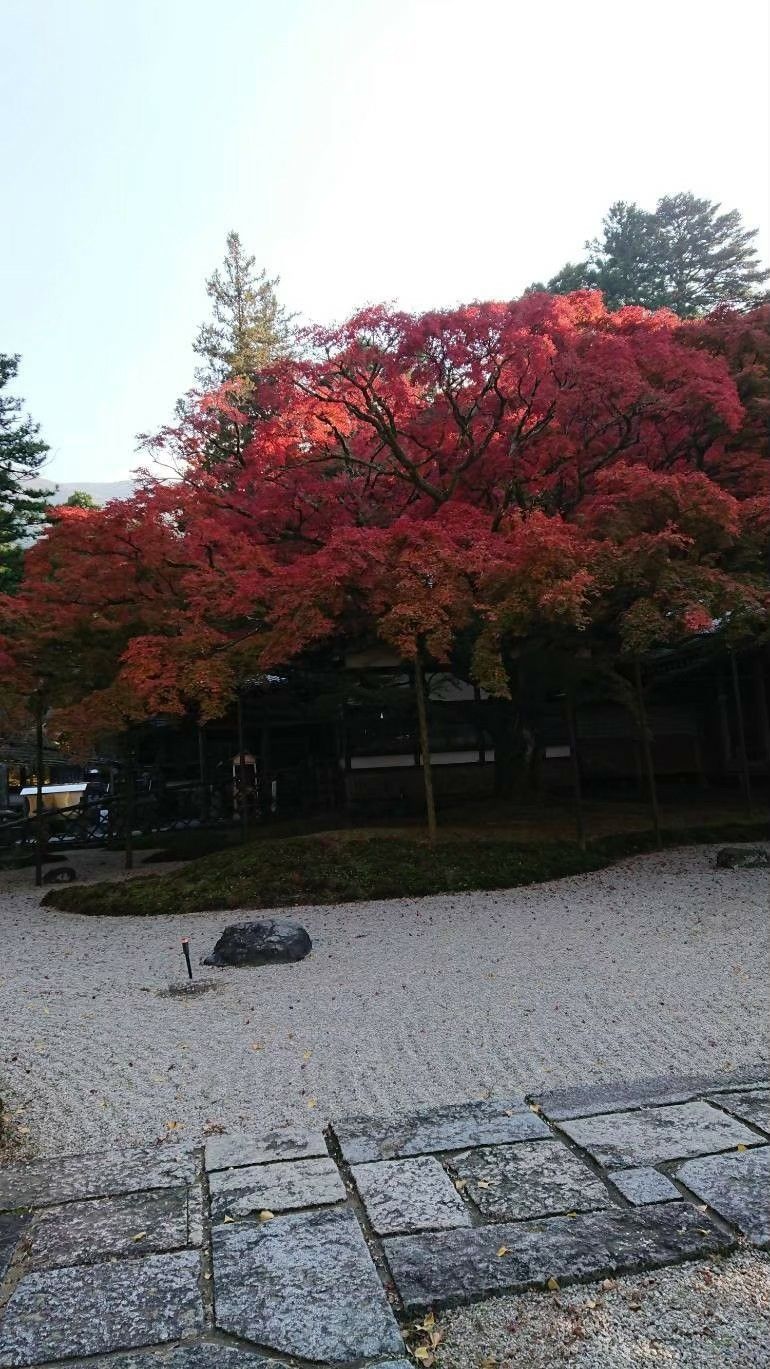 またこの季節がやってくる 雷山千如寺 日帰りの旅研究所 日帰りだって立派な 旅 なのである 楽天ブログ またこの季節がやってくる 雷山千如寺 日帰りの旅研究所 日帰りだって立派な 旅 なのである 楽天ブログ