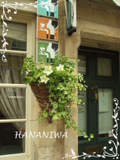 2012_0623トレッサ用寄せ植えとクレマチスの講座とカ0348.JPG