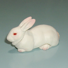 IMGP1035.JPG