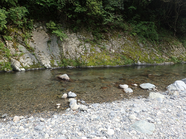 resize0010.jpg