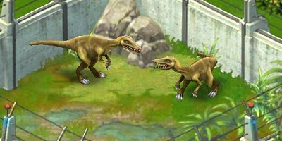 コンプソグナトゥス