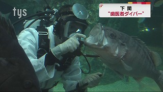 歯医者ダイバー.png