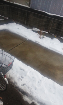 雪掻き1.jpg