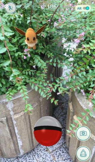 ポケモンgo イーブイ