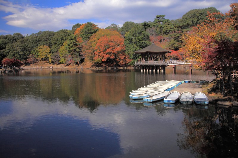 奈良公園・浮見堂_007.jpg