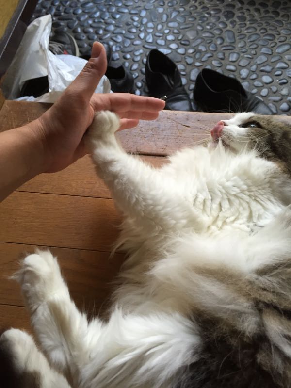 rblog-20150729091845-05.jpg