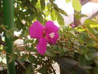 20150528105527.jpg