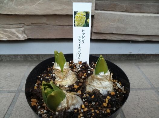 rblog-20140303181217-01.jpg