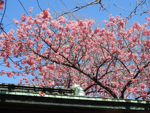 荏原神社にて