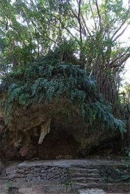 沖縄290.jpg