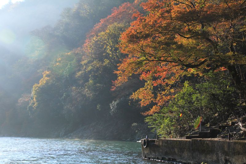 嵐山_006逆光.jpg