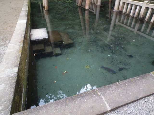 DSCF2188.JPG