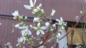 rblog-20130401231714-02.png