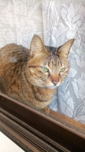 rblog-20180419151543-02.jpg