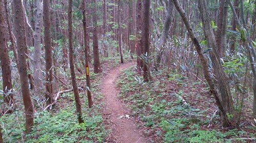 s-20140515七ッ森制覇撫倉山へ遊歩道.jpg