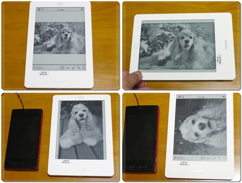 写真も見れる.jpg