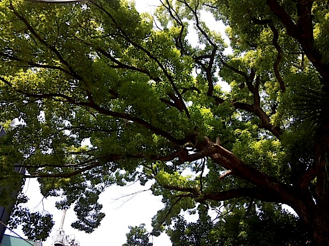 120614_133729.jpg