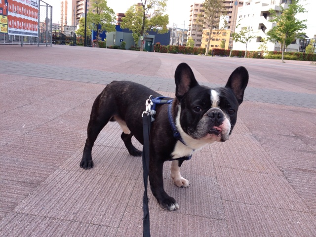 rblog-20130503081417-02.jpg