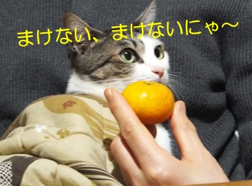 20121111_3.jpg