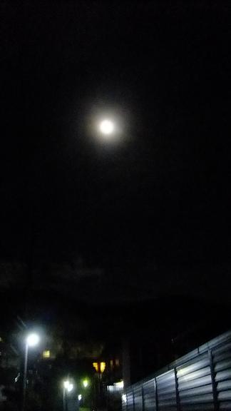 DSCF0016.JPG