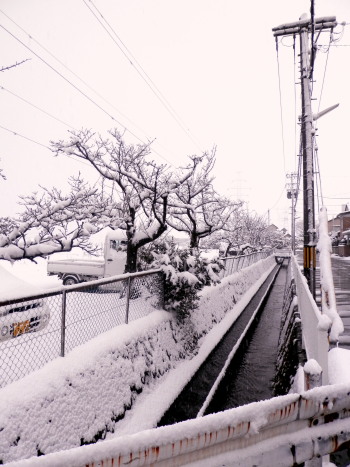 雪景色　3.11　2015