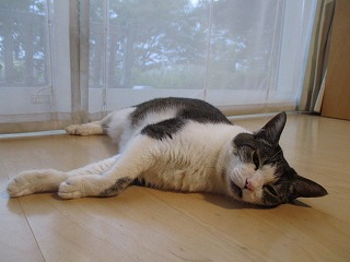 IMG_7249ss.jpg