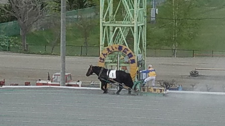 20170506_152250.jpg