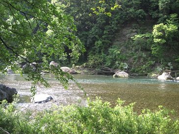 川その１.jpg