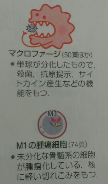 rblog-20140514090237-00.jpg