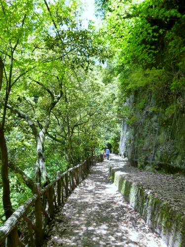 061 (375x500).jpg