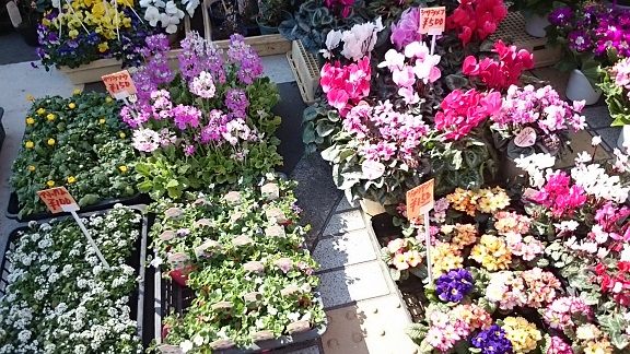 植木屋