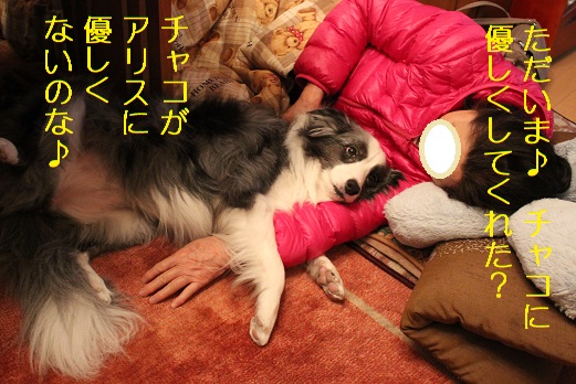 アリスもべったり