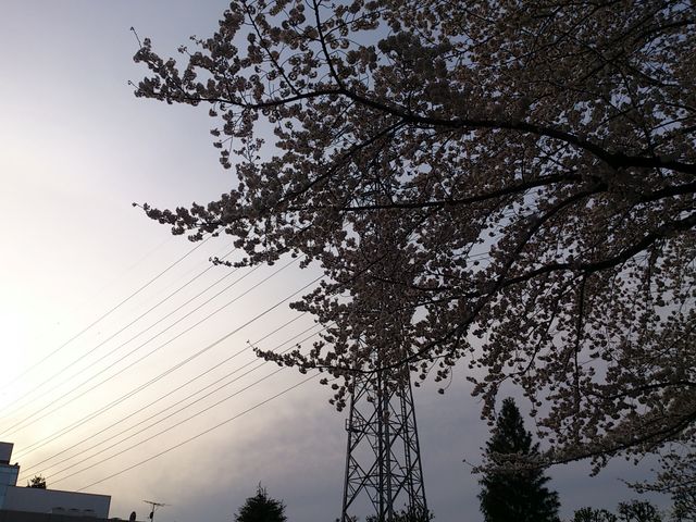 2014-03-31 17.07.05.jpg