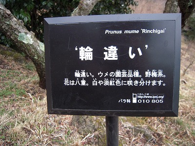 DSCN0461.jpg