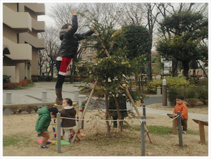 クリスマスツリー飾りつけ
