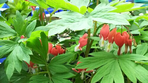 rblog-20180408004710-07.jpg