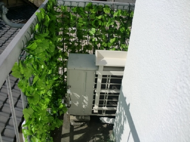 CIMG0356.jpg