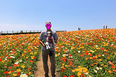 20170522道あり