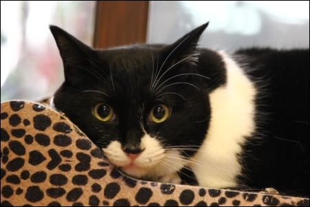 東京旅行-136 廉太郎くん-3 13.10.6