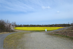 新潟388.jpg