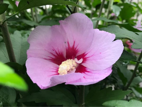 rblog-20180624175900-08.jpg