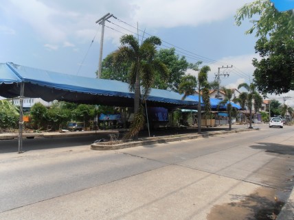 sP6010002.JPG