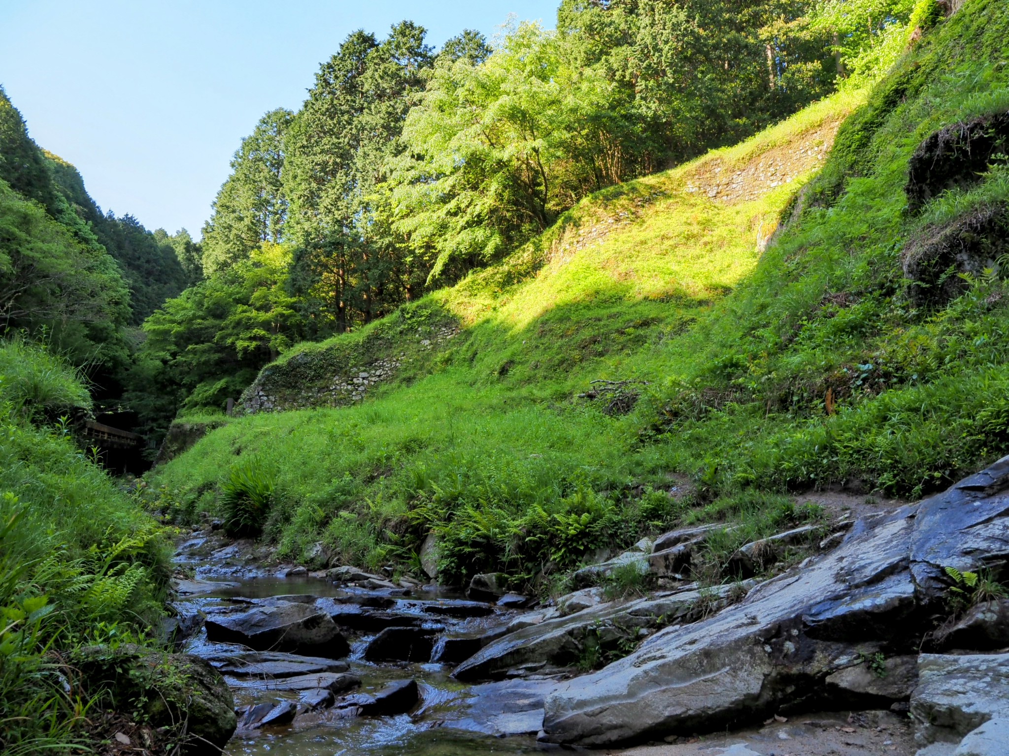 四王寺山 百間石垣〜大城山 キンラン開花！ | 九州の山々 - 楽天ブログ