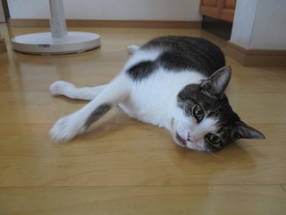 IMG_6466ss.jpg