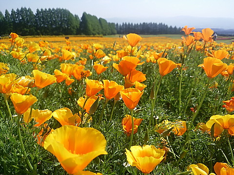 IMG_20160504_090924.jpg