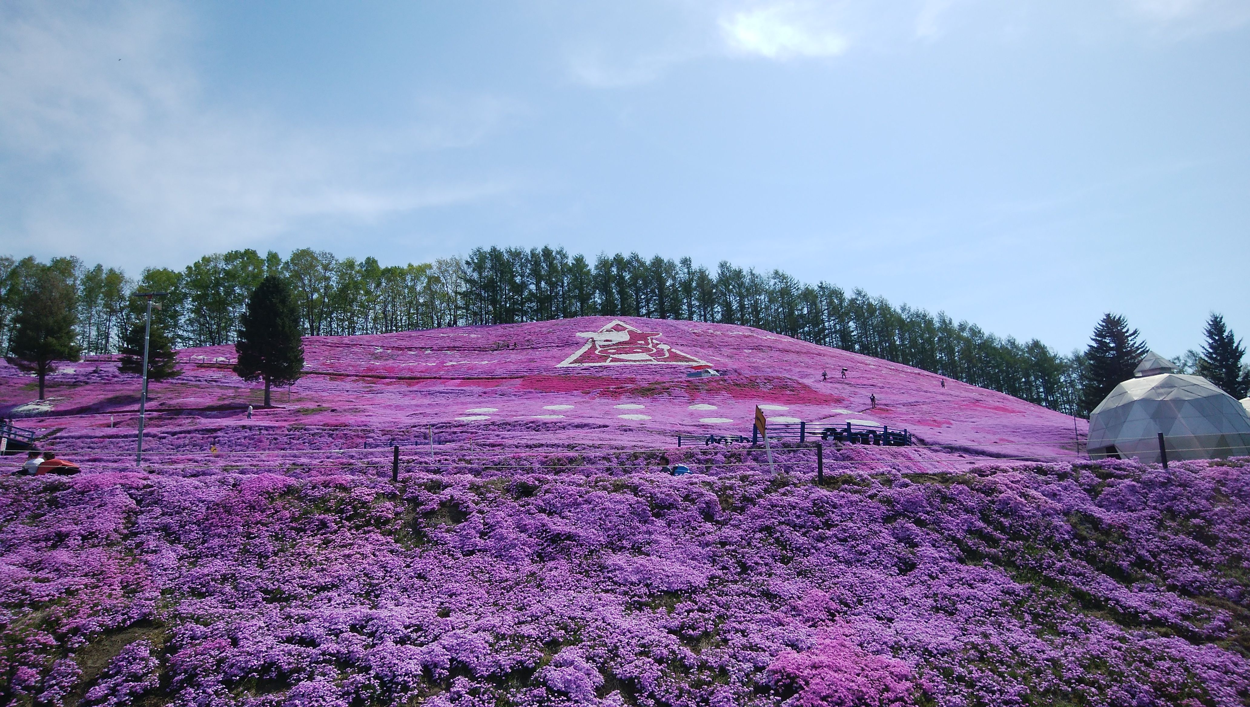 オホーツク花回遊19 大空町 ひがしもこと芝桜公園でゴーカート 笑 とりあえず 今は 休もう うつ病日記 楽天ブログ